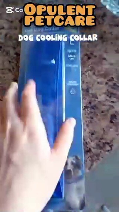 Pet cooling collar