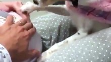 Please move hand, I need to hear my new best friend