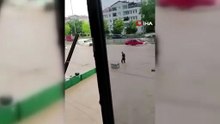 Sel sularına kapılan yaşlı adamı son anda kurtardılar