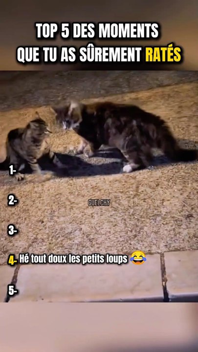 TOP 5 DES MOMENTS QUE TU AS SÛREMENT RATÉS | PARTIE 2