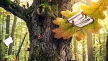 Tree House