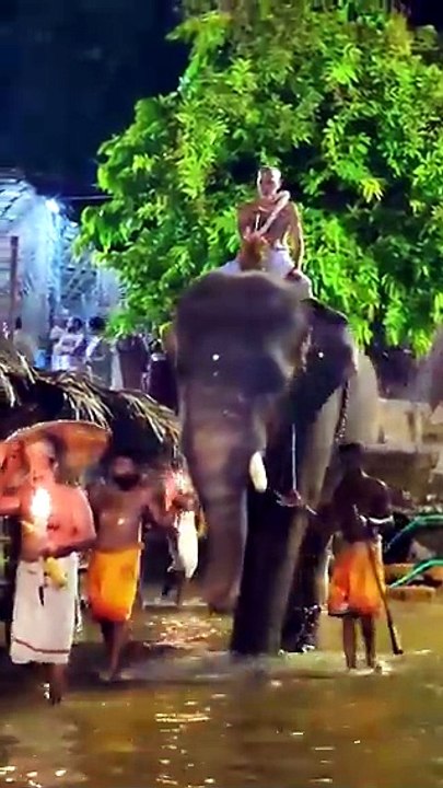 Devotion or Disruption? A Growing Concern at Sacred Temples