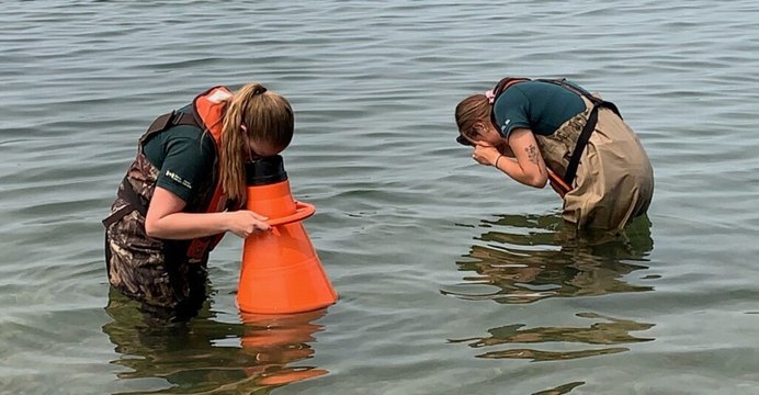 A closer look at how invasive species hit the U.S. economy