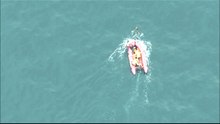 Whale rescue pt 2