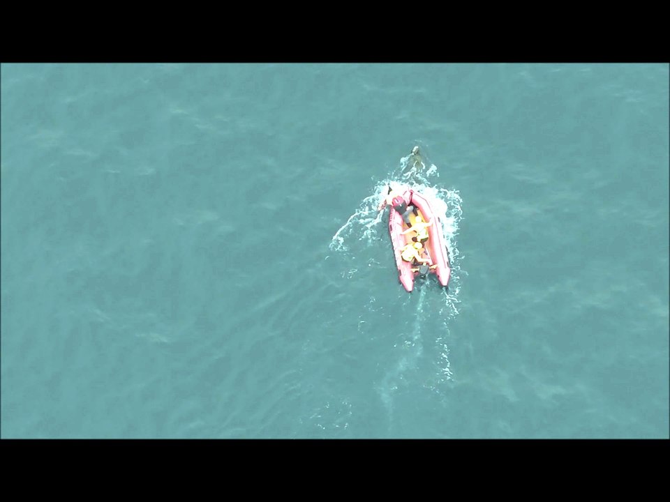 Whale rescue pt 2
