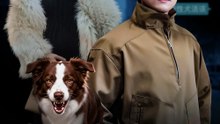 犬の言葉が分かる俺は最強だ - Full Drama | Japanese Sub 2026