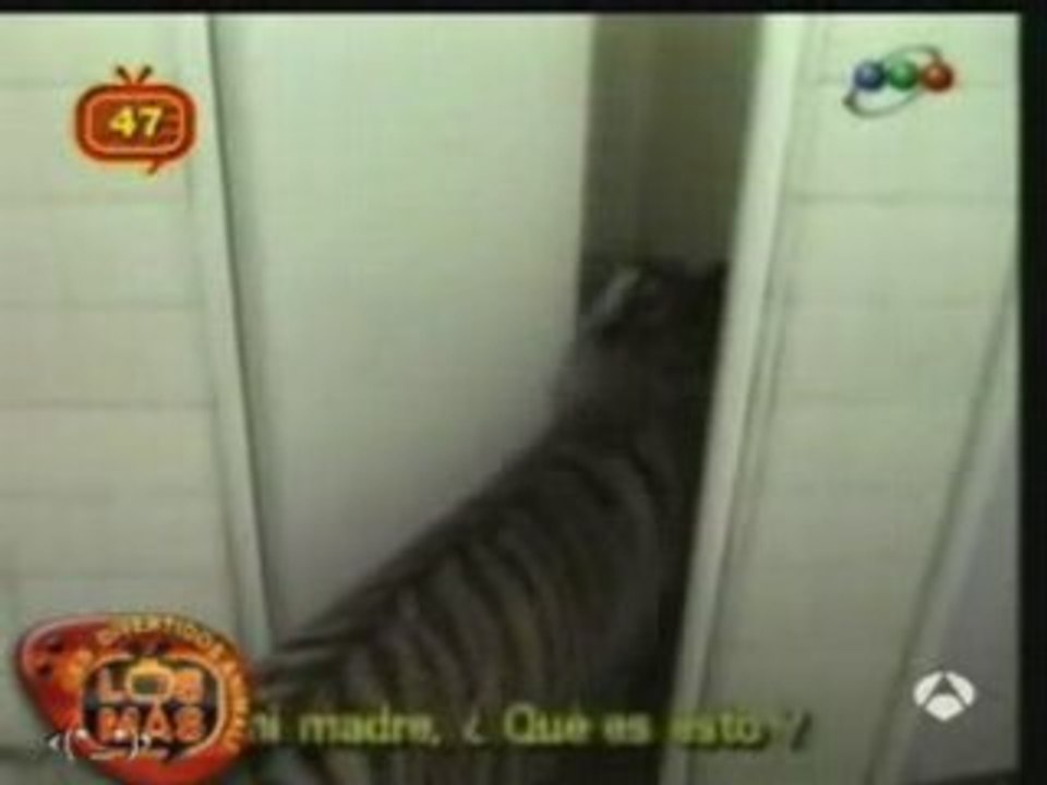 Toilet Prank