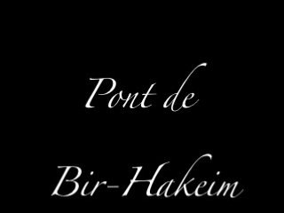 Pont de Bir-Hakeim - 20 juin 2008 - Paris