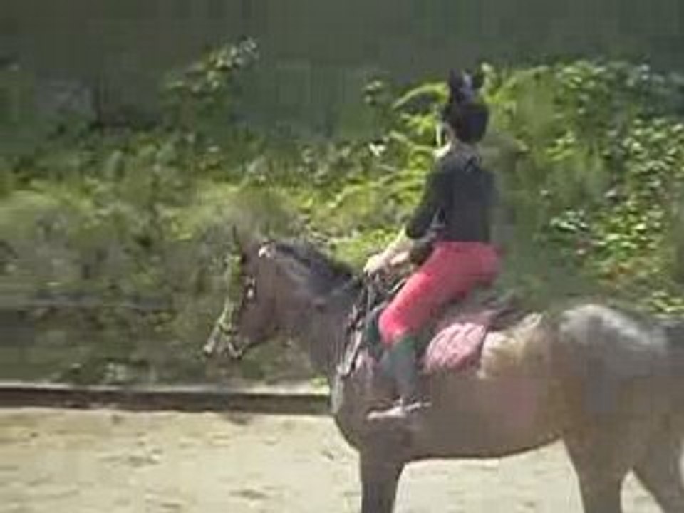 Carrousel 3