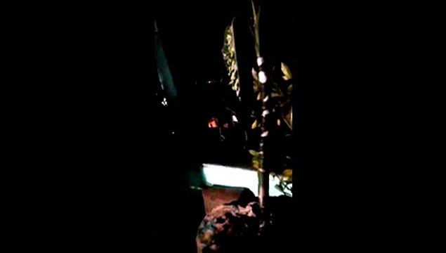 Barulho de tiros assusta moradores em Jaburuna, Vila Velha