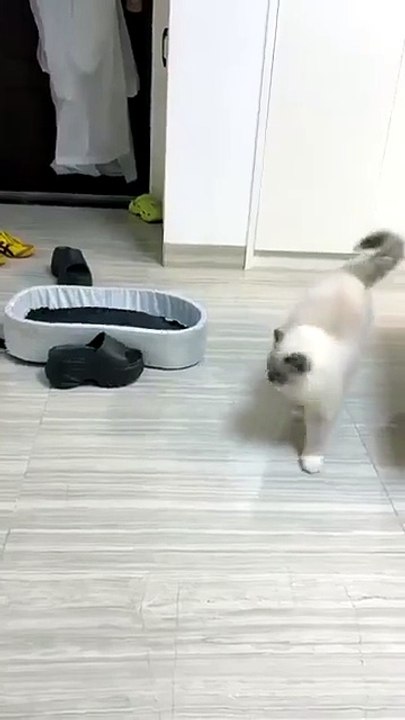 A new variation on playing hide-and-seek!