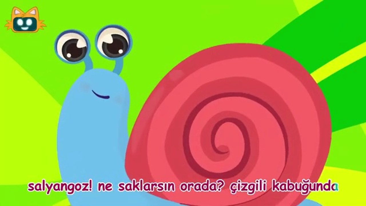 Salyangoz Şarkısı | Miniyo Hayvan Şarkıları