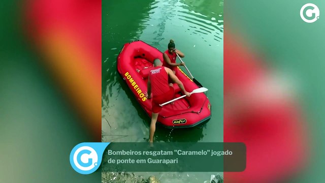 Bombeiros resgatam Caramelo jogado de ponte em Guarapari