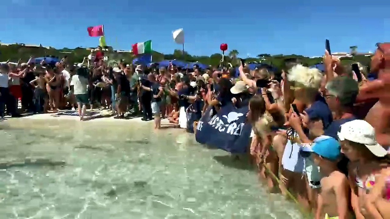 Stintino, la tartaruga Caterina ritrova la libert? nella spiaggia della Pelosa