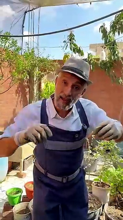 بقالب كوكوبيت هتزرع السطح كله  @youtubecreators #YuoTubeHighFive