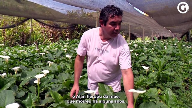 Flores do Sul do ES garantem renda extra no Dia de Finados