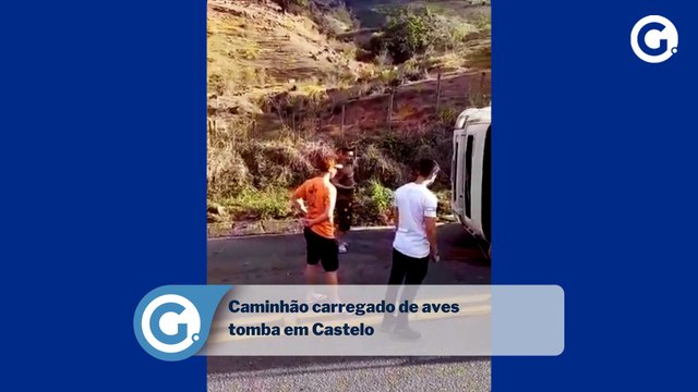 Caminhão carregado de aves tomba em Castelo
