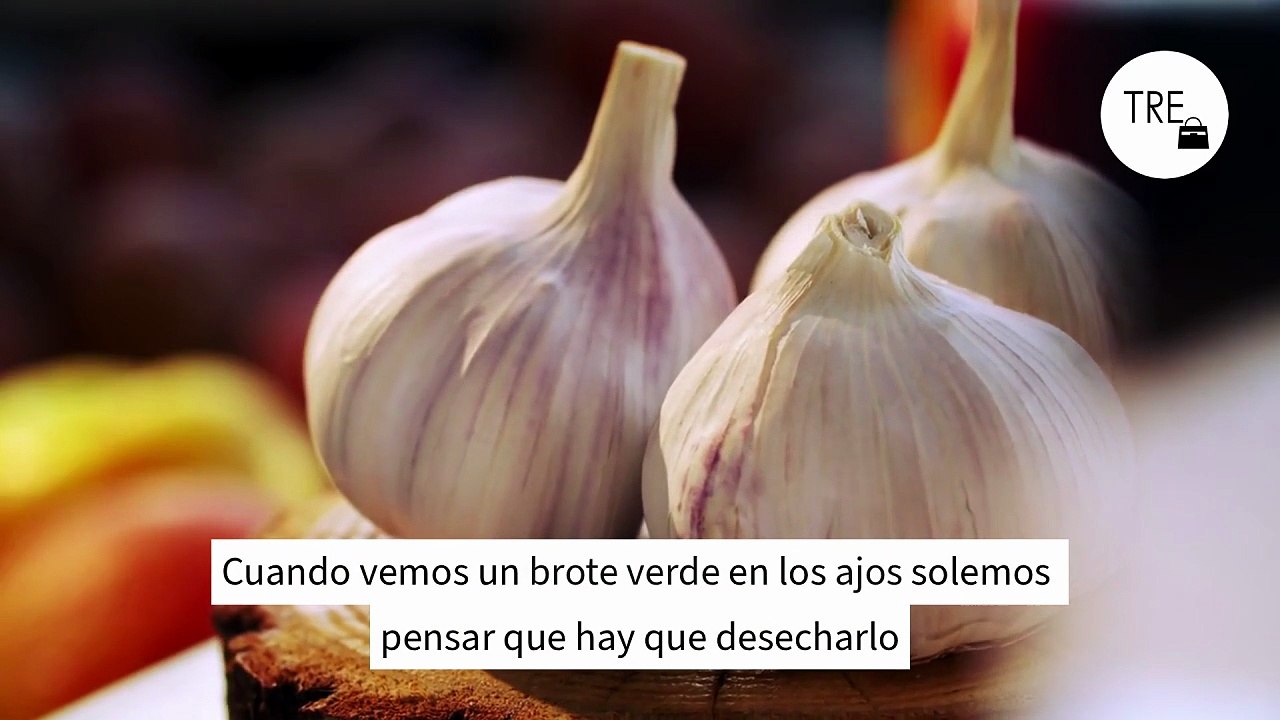 No deberías tirar ese ajo con brotes: son seguros para el consumo, aunque el sabor cambia
