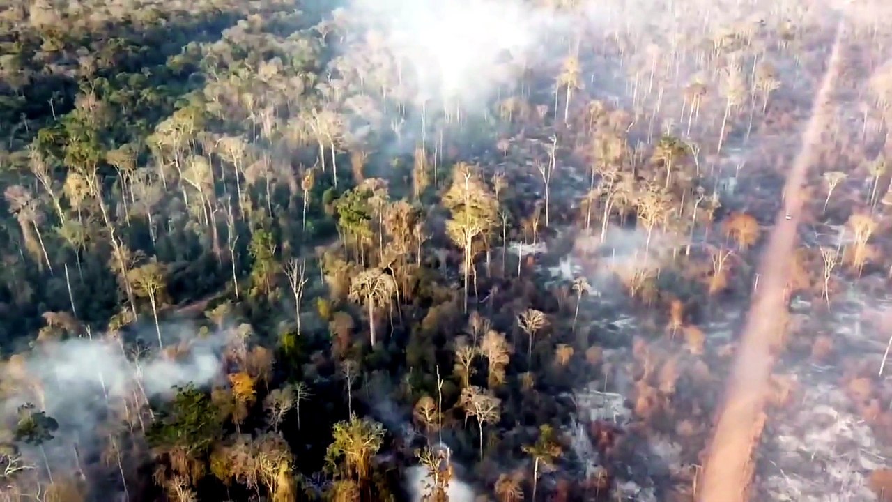 Incêndio atinge região de Mata Atlântica em Linhares