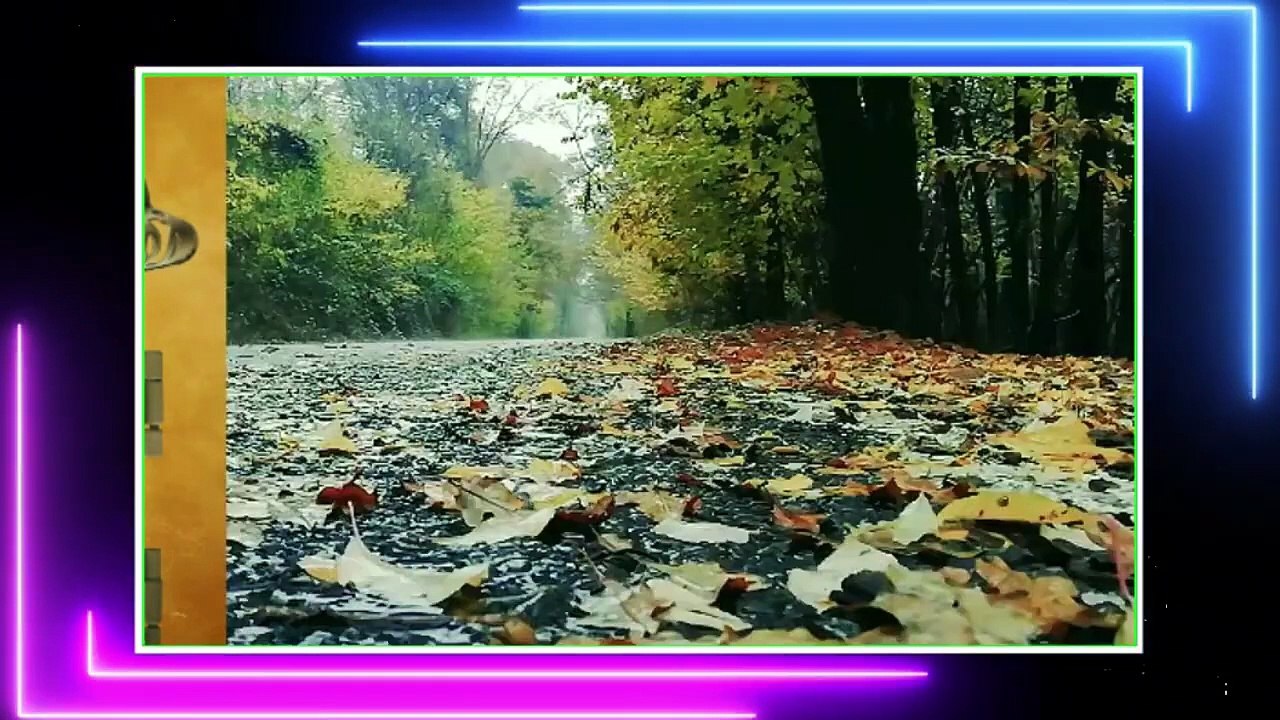 10  FELAK SURESİ  Büyü Sihir Cinlerden Korunma Duası   سورة الفلق مكررة 10 مرة