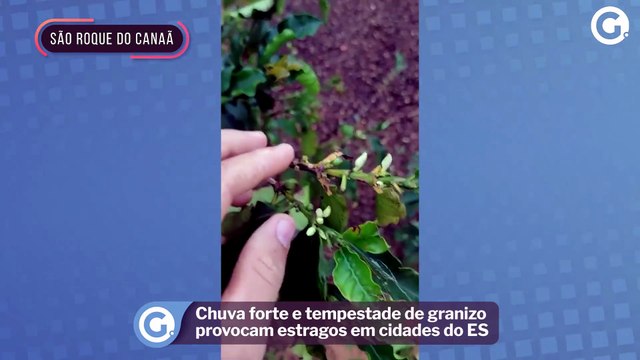Chuva forte e tempestade de granizo provocam estragos em cidades do ES