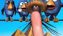 Don't mess with the Sombrero bird! 💥 #talkingbirds