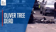 Oliver Tree, Argentine YouTuber among six dead in Rio helicopter crash