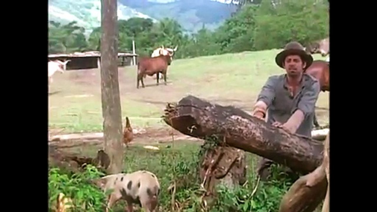 O Cravo e a Rosa _ Capítulo 10