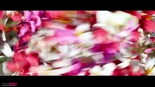 MOANA_ 5 Minute Extended #Moana #Moana2026 #DisneyMoana #ExtendedTrailer #4KTrailer #UltraHD #DisneyMovie #NewTrailer #MoanaLiveAction #WaltDisney #Trailer2026 #MovieTrailer #ViralTrailerMoana 2026 trailer Moana extended trail (4K ULTRA HD) NEW 2026(480P)
