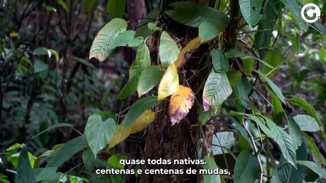 Atitude Sustentável - Painel Águas: Distintos Olhares 2022-06-14 at 14:50