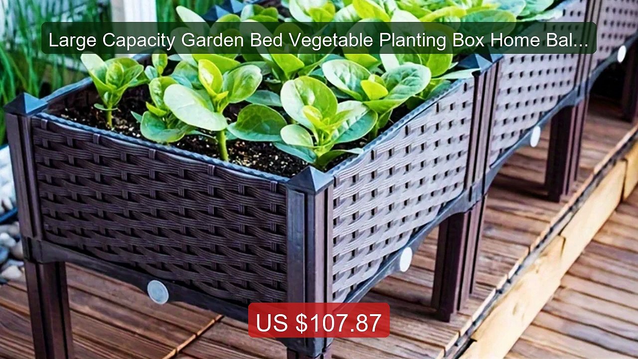 Large Capacity Garden Bed Vegetable Planting Box Home Balcony... -- Amazing Value 2026 | Must Have!