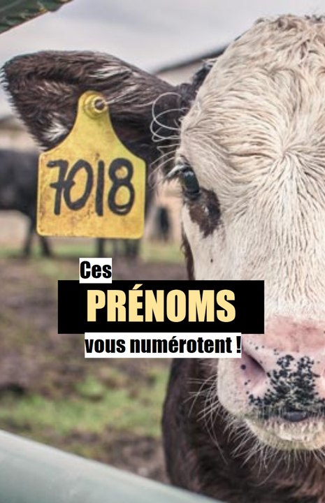 Ces prénoms sont des numéros !