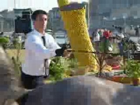 Championnat de Purs sangs arabes