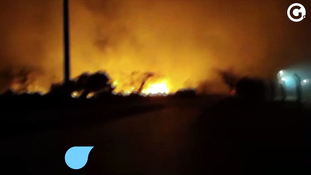 Incêndio atinge grande área perto de fábrica em Aracruz