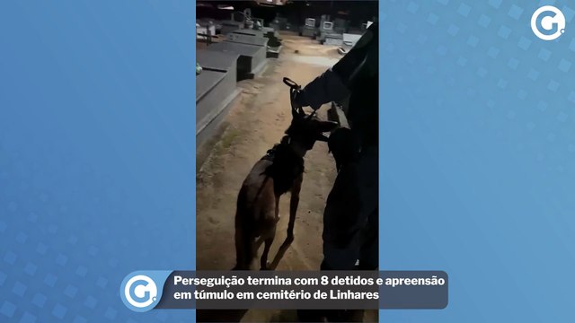 Perseguição termina com 8 detidos e apreensão em túmulo em cemitério de Linhares