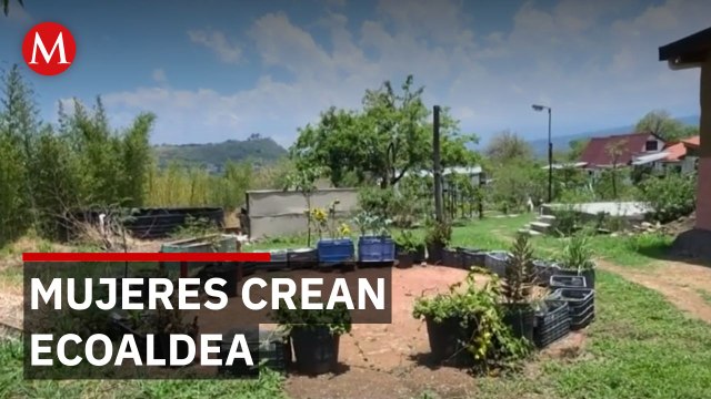 Ecoaldea feminista: Mujeres construyen comunidad sustentable y autónoma en Morelos