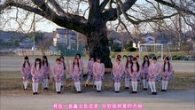 AKB48 20 桜の木になろう【化作樱花树】