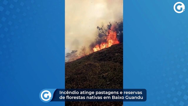 Incêndio atinge pastagens e reservas de florestas nativas em Baixo Guandu