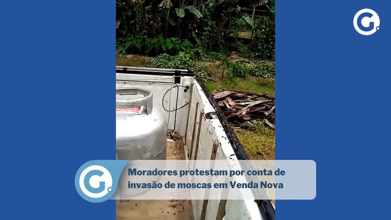 Moradores protestam por conta de invasão de moscas em Venda Nova