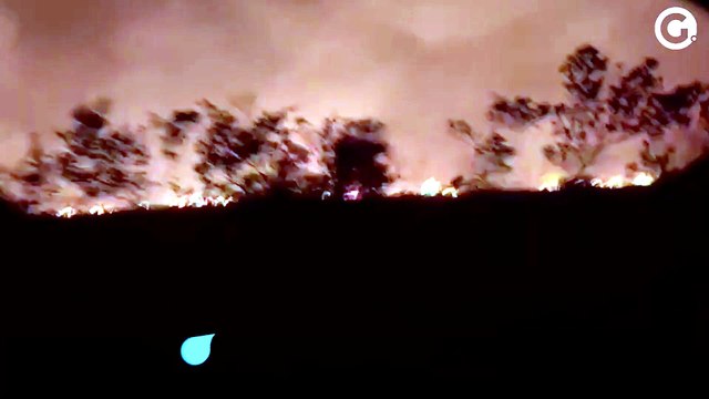 Chamas no Parque Estadual Paulo César Vinha, em Guarapari, nesta quinta-feira (22)