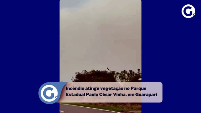 Incêndio atinge vegetação no Parque Estadual Paulo César Vinha, em Guarapari