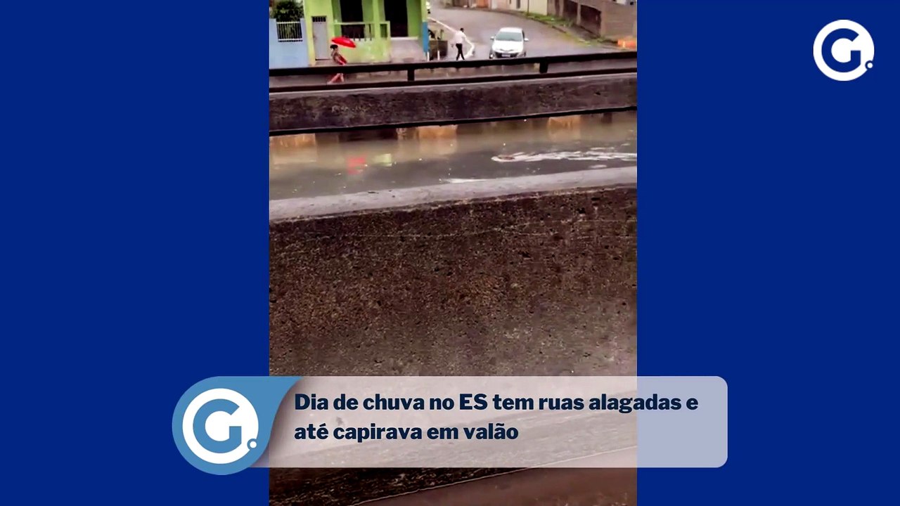Dia de chuva no ES tem ruas alagadas e até capivara em valão