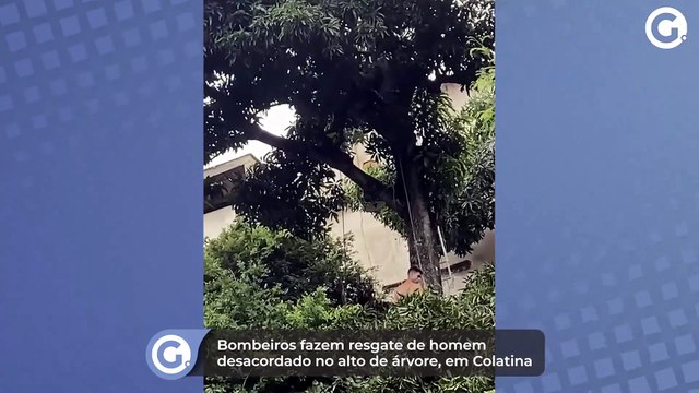 Bombeiros fazem resgate de homem desacordado no alto de árvore, em Colatina