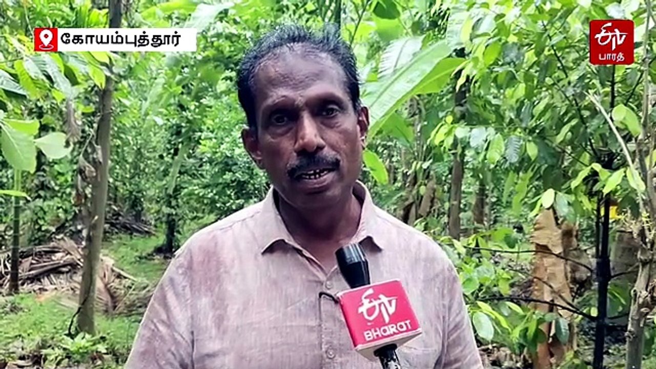 கோவை இயற்கை விவசாயிக்கு ஐநா விருது! ஏக்கருக்கு...