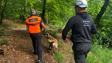 Chiens sauveteurs. Des chiens formés bénévolement à la recherche de personnes portées disparues