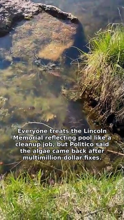 Lincoln Memorial reflecting pool: the fix failed