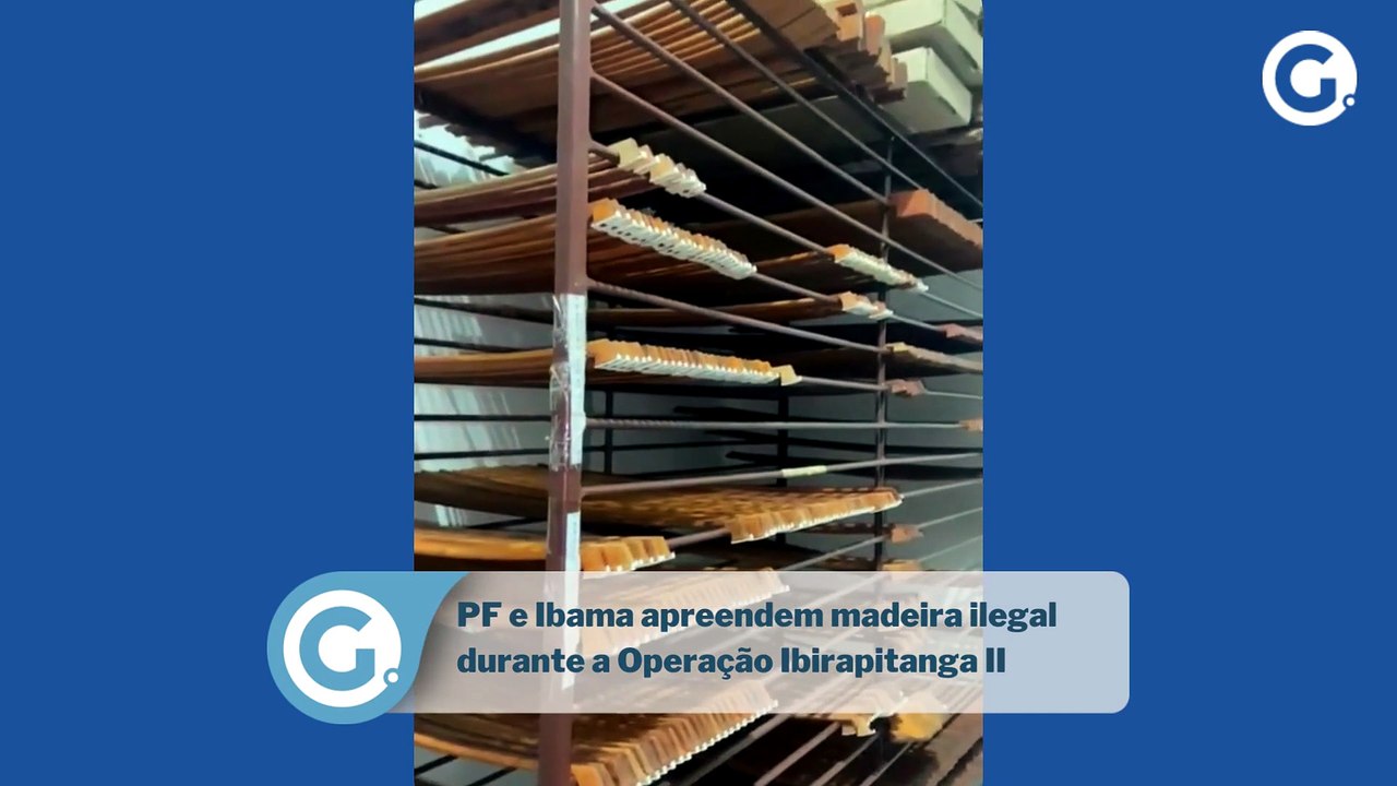 PF e Ibama apreendem madeira ilegal durante a O...