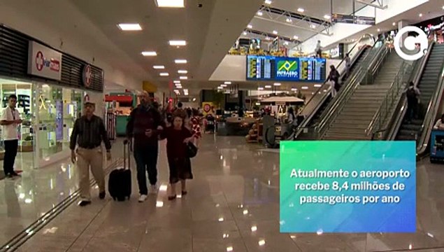 As aves que garantem a segurança dos voos no Aeroporto de Vitória