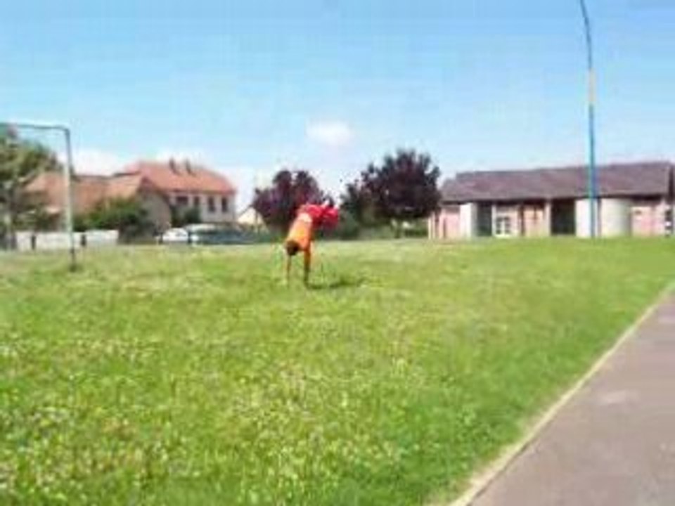 David le bg 020