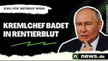 Wladimir Putin: Kremlchef badet in Rentierblut – so will Putin "unsterblich" werden